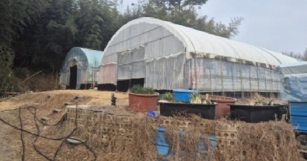 전남광주통합특별시 나주시 공산면 복용리 산7 임야 경매 물건 이미지
