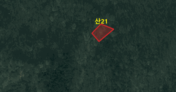 경기도 용인시 처인구 백암면 석천리 산21  미지정 경매 물건 이미지