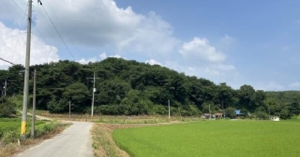 충청남도 서산시 성연면 예덕리 산129  미지정 경매 물건 이미지