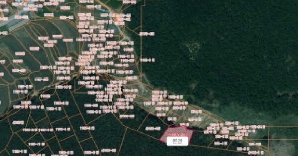 충청남도 서산시 대산읍 대산리 산185-4  미지정 경매 물건 이미지