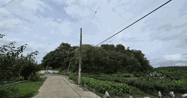 경상북도 영천시 대창면 대창리 532  미지정 경매 물건 이미지