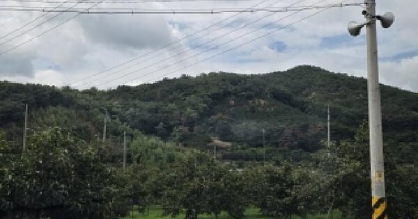 경상북도 청도군 청도읍 원정리 산123-11  미지정 경매 물건 이미지