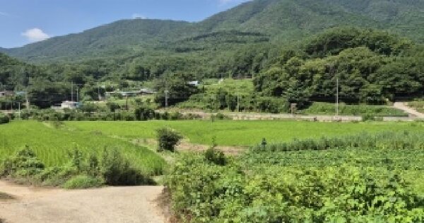 경상북도 경주시 내남면 박달리 1624-1  미지정 경매 물건 이미지