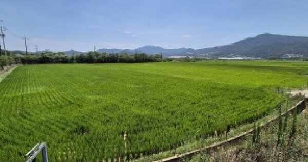 경상북도 경주시 외동읍 방어리 1  미지정 경매 물건 이미지