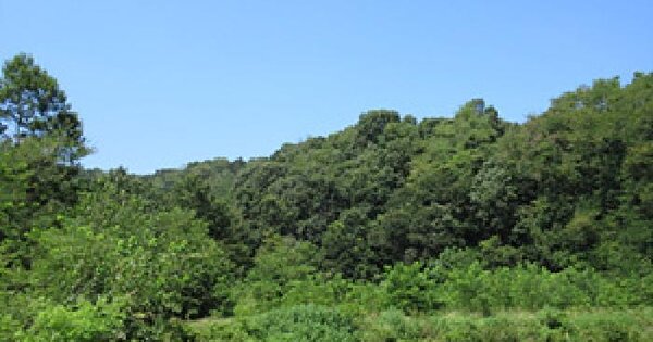 경상북도 예천군 개포면 이사리 산121  미지정 경매 물건 이미지