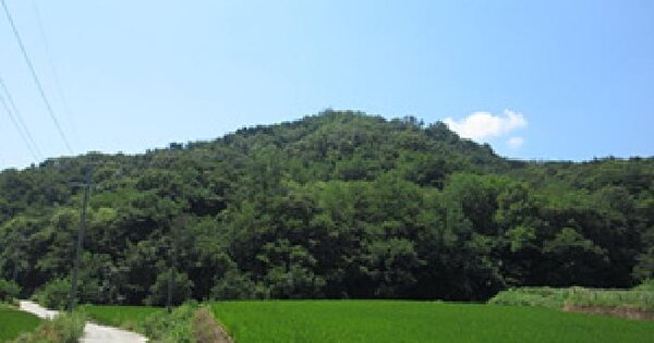 경상북도 문경시 산북면 서중리 산19-1  미지정 경매 물건 이미지