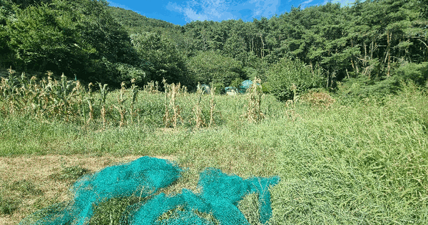 부산광역시 기장군 철마면 이곡리 308  미지정 경매 물건 이미지