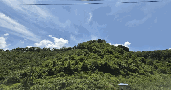 경상남도 창원시 의창구 동읍 금산리 산150  미지정 경매 물건 이미지