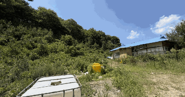 충청남도 태안군 소원면 영전리 122-1  미지정 경매 물건 이미지