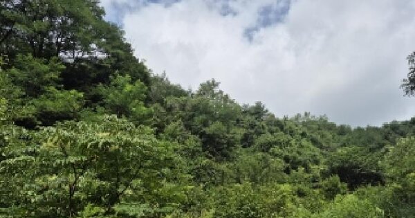 강원특별자치도 속초시 도문동 산267  미지정 경매 물건 이미지
