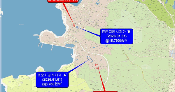 전남광주통합특별시 완도군 노화읍 등산리 844  미지정 경매 물건 이미지