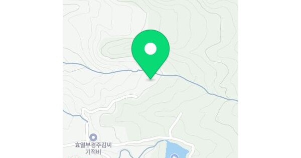전남광주통합특별시 곡성군 입면 만수리 산10  미지정 경매 물건 이미지