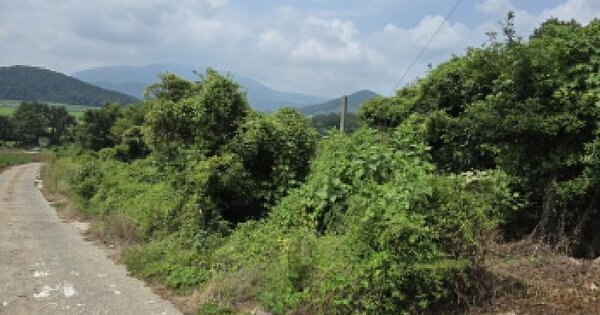 전남광주통합특별시 장흥군 관산읍 죽청리 산32-2  미지정 경매 물건 이미지