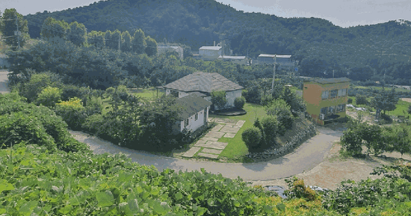 경기도 여주시 강천면 간매리 496-2  미지정 경매 물건 이미지