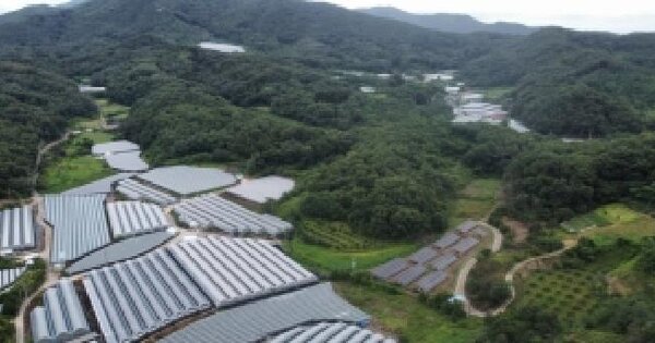 경상북도 김천시 봉산면 덕천리 374-2  미지정 경매 물건 이미지