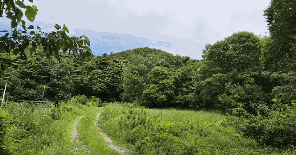 충청남도 홍성군 장곡면 상송리 산20-1  미지정 경매 물건 이미지