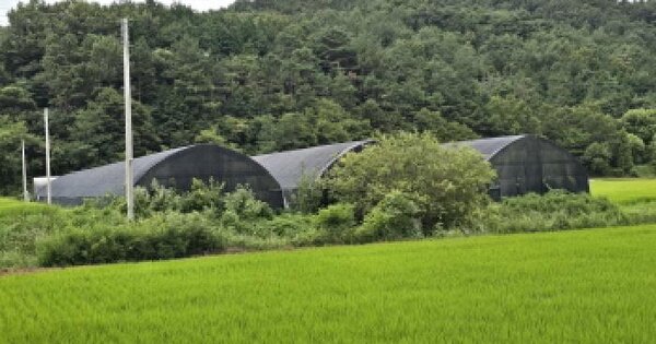 전남광주통합특별시 장흥군 부산면 호계리 20-15  미지정 경매 물건 이미지