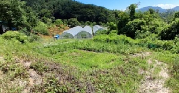 강원특별자치도 화천군 간동면 오음리 163  미지정 경매 물건 이미지