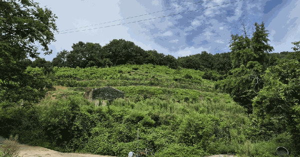 충청남도 예산군 대술면 시산리 133-1  미지정 경매 물건 이미지
