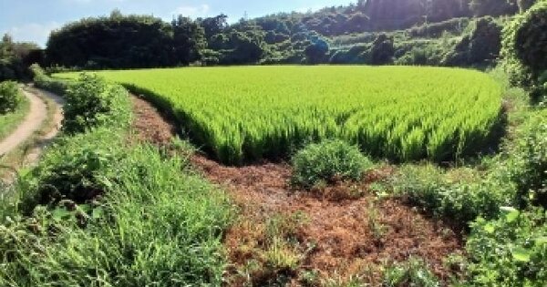 충청남도 당진시 송악읍 영천리 281-15  미지정 경매 물건 이미지