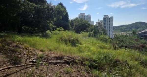 전남광주통합특별시 순천시 조례동 산91  미지정 경매 물건 이미지
