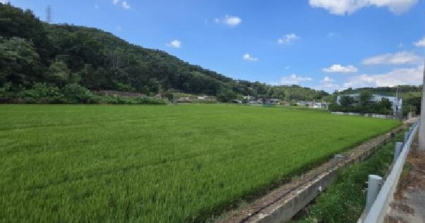 경상북도 구미시 산동읍 적림리 432-4  미지정 경매 물건 이미지