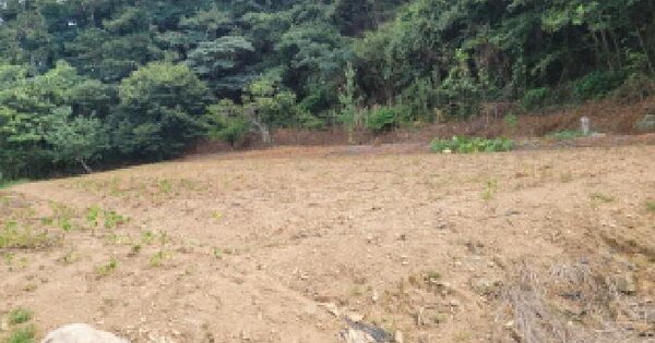전남광주통합특별시 고흥군 고흥읍 호동리 975  미지정 경매 물건 이미지