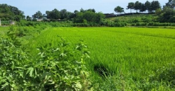 경기도 파주시 월롱면 영태리 1057  미지정 경매 물건 이미지
