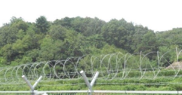 세종특별자치시  전동면 청송리 산20-2  미지정 경매 물건 이미지
