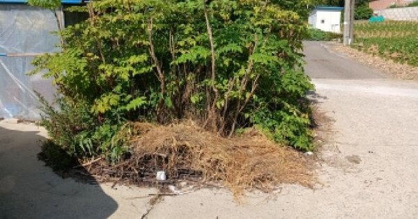 충청남도 당진시 채운동 928  미지정 경매 물건 이미지