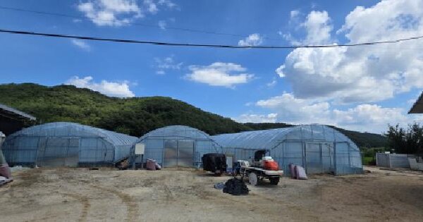 경상북도 구미시 해평면 송곡리 163-20  미지정 경매 물건 이미지