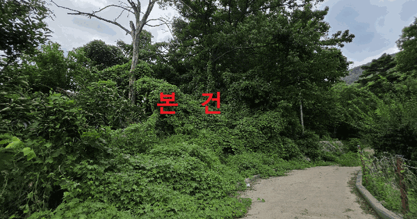 대구광역시 달성군 가창면 대일리 719  미지정 경매 물건 이미지