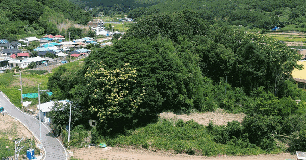 경상남도 남해군 상주면 상주리 1161-1  미지정 경매 물건 이미지