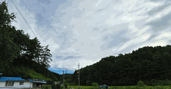 충청북도 제천시 봉양읍 장평리 산63-1  미지정 경매 물건 이미지