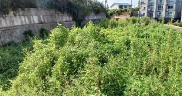 충청남도 당진시 송악읍 가학리 627-8  미지정 경매 물건 이미지