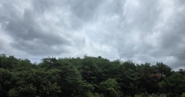 경상북도 안동시 와룡면 서지리 산48  미지정 경매 물건 이미지
