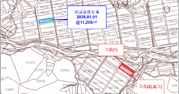 전남광주통합특별시 보성군 벌교읍 옥전리 245-4  미지정 경매 물건 이미지