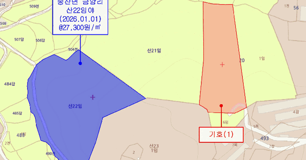 충청남도 당진시 송산면 금암리 산20  미지정 경매 물건 이미지