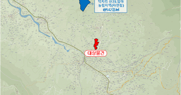 전북특별자치도 무주군 무풍면 덕지리 산96  미지정 경매 물건 이미지