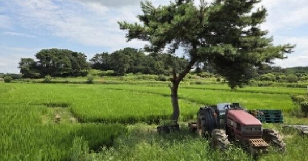 전북특별자치도 부안군 줄포면 우포리 145-3  미지정 경매 물건 이미지