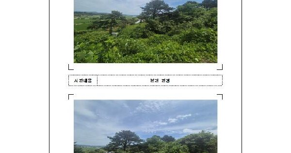 전남광주통합특별시 함평군 월야면 용암리 산15-5  미지정 경매 물건 이미지