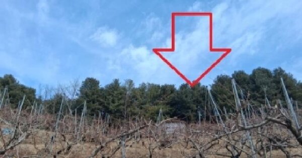 강원특별자치도 춘천시 남산면 강촌리 307-32 임야 경매 물건 이미지
