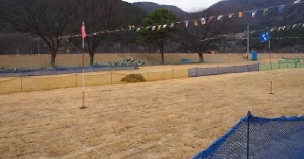 경상남도 밀양시 상동면 매화리 654-1 도로 경매 물건 이미지