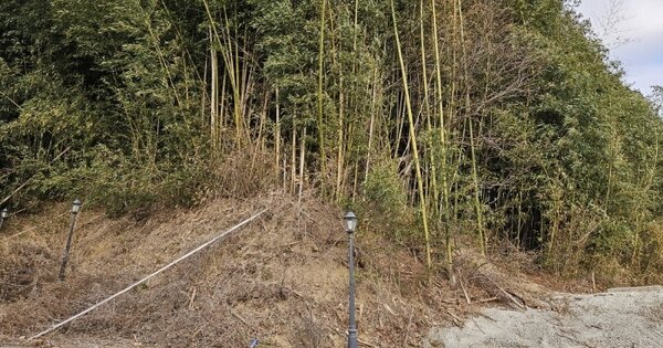 충청남도 논산시 부적면 신풍리 592 전 경매 물건 이미지
