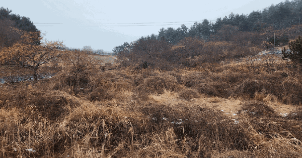 전남광주통합특별시 목포시 달동 828-2 전 경매 물건 이미지