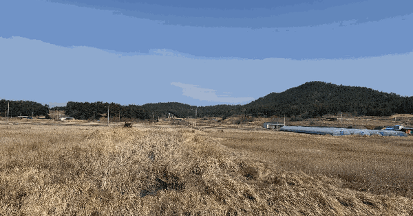 전남광주통합특별시 목포시 율도동 311 대지 경매 물건 이미지