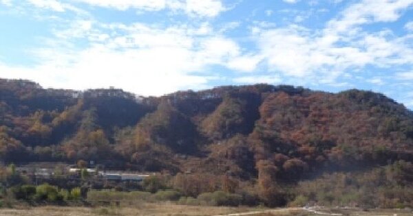 전북특별자치도 무주군 부남면 장안리 산120 임야 경매 물건 이미지