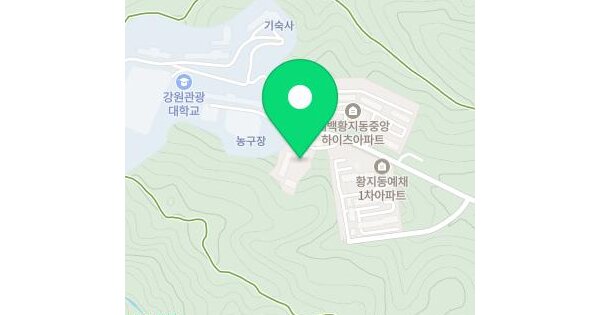 강원특별자치도 태백시 황지동 847 에코빌아파트 102동 10층1002호 미지정 경매 물건 이미지