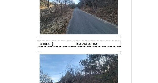 전남광주통합특별시 무안군 청계면 도림리 391-2 전 경매 물건 이미지