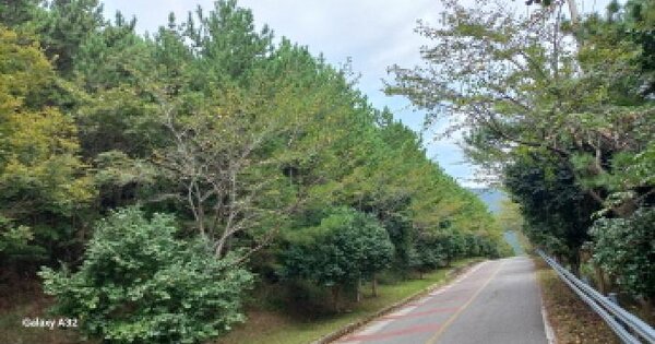 경상남도 거제시 동부면 율포리 산4 임야 경매 물건 이미지